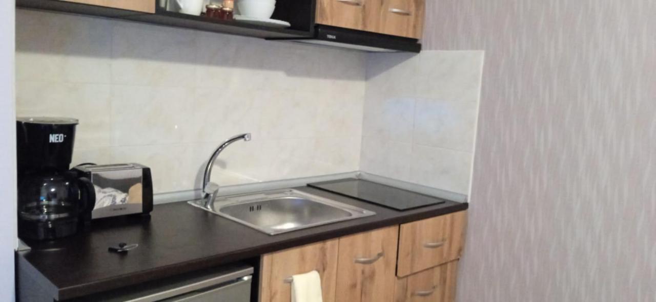 Mechka Ski Apartment 반스코 외부 사진